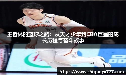 王哲林的篮球之路：从天才少年到CBA巨星的成长历程与奋斗故事