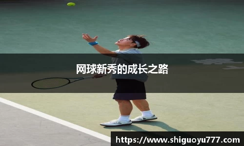NG体育官网入口